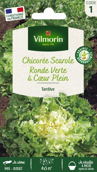 Potagères - Chicorée Scarole Ronde Verte à Cœur Plein - PACKAGING_RECTO